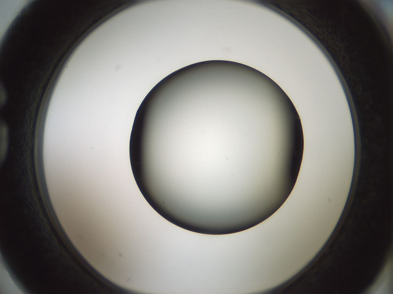 folderID352_plateID1352_batchID4709_wellNum74_profileID1_d1_r81877_ef.jpg