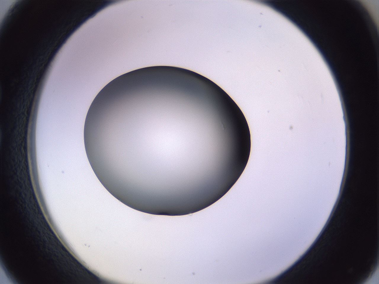 folderID353_plateID1353_batchID4708_wellNum26_profileID1_d1_r81733_ef.jpg