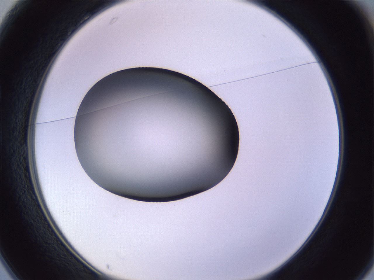 folderID353_plateID1353_batchID4708_wellNum25_profileID1_d1_r81732_ef.jpg
