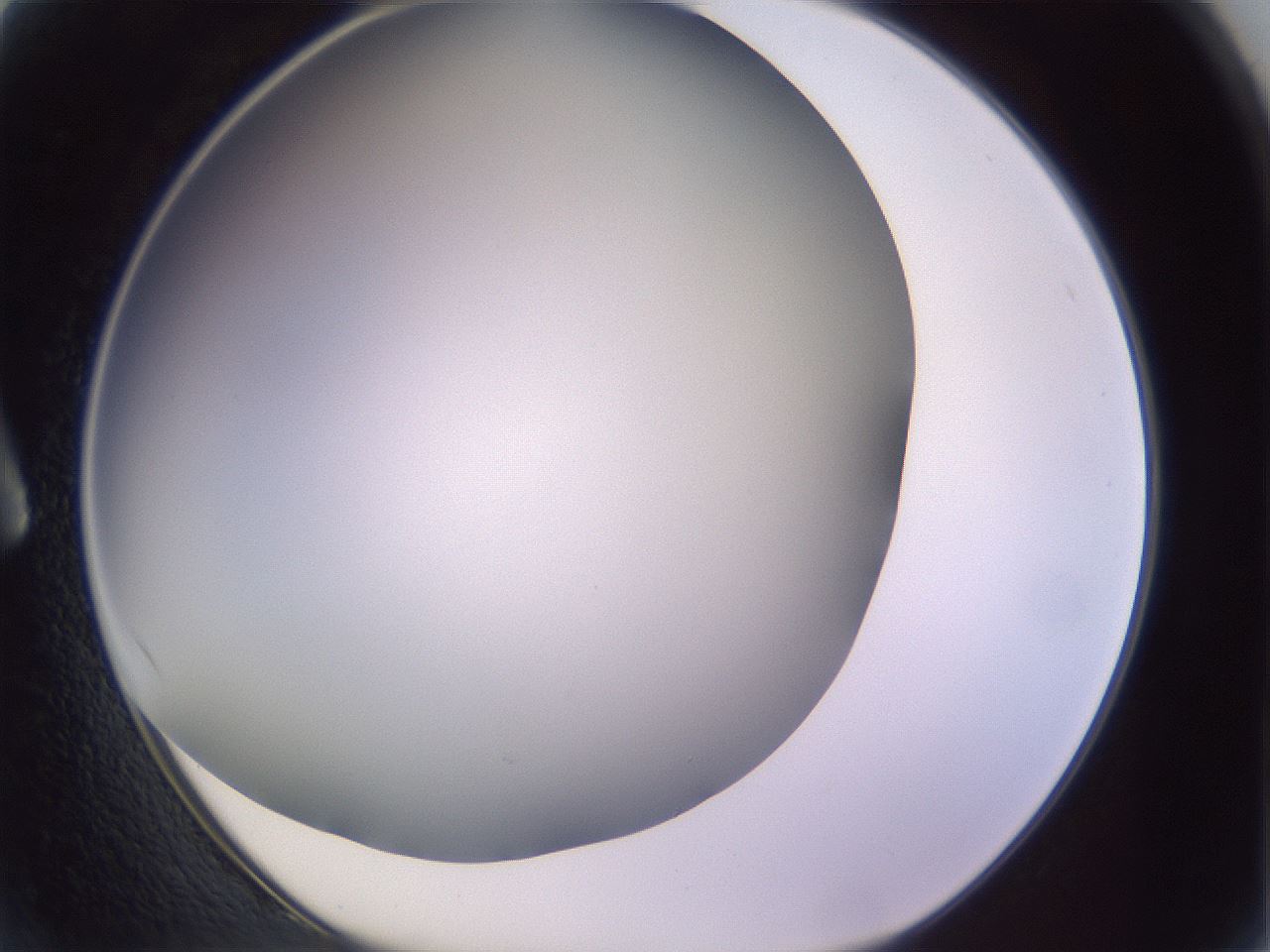 folderID353_plateID1353_batchID4708_wellNum2_profileID1_d1_r81709_ef.jpg