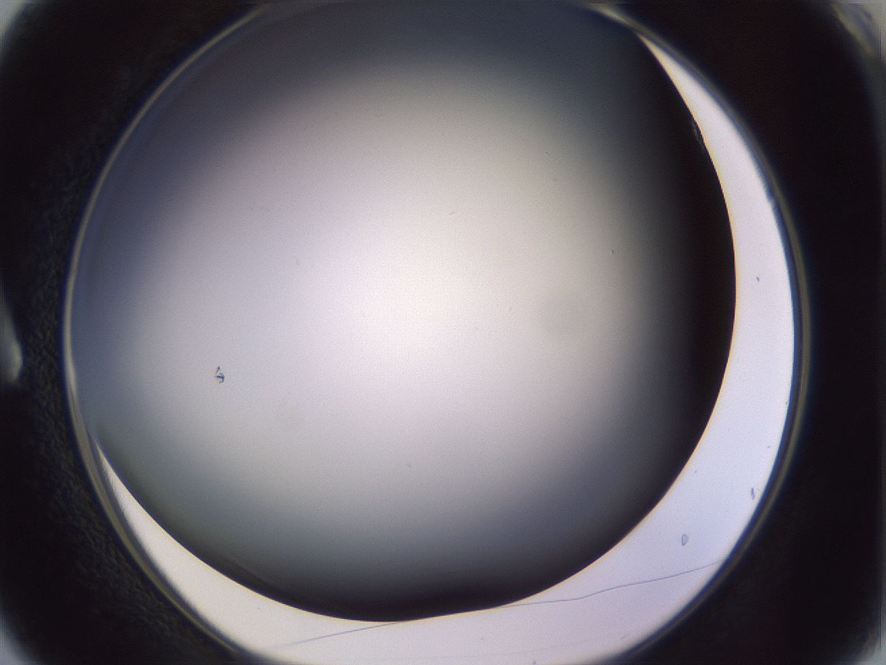 folderID353_plateID1353_batchID4708_wellNum3_profileID1_d1_r81710_ef.jpg