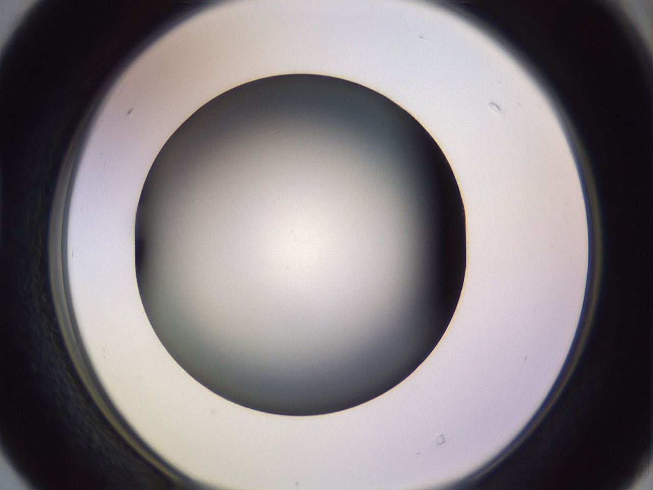 folderID353_plateID1353_batchID4708_wellNum40_profileID1_d1_r81747_ef.jpg