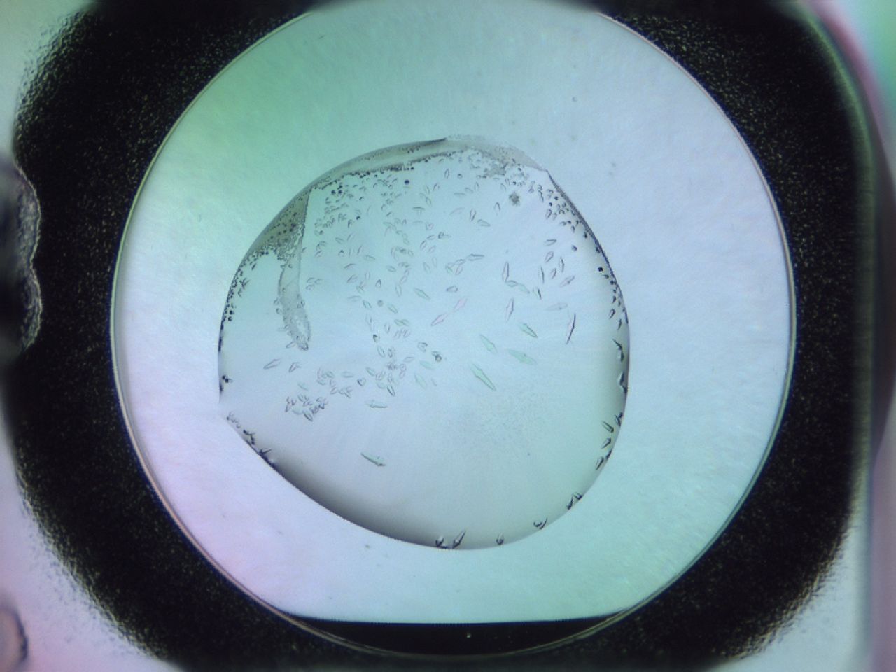 02kk_B8_ImagerDefaults_9.jpg