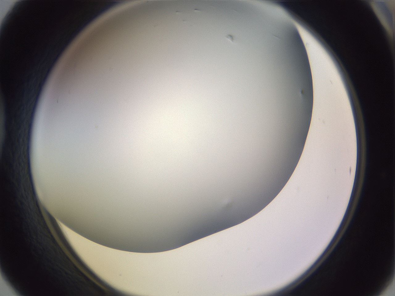 folderID353_plateID1353_batchID4708_wellNum42_profileID1_d1_r81749_ef.jpg