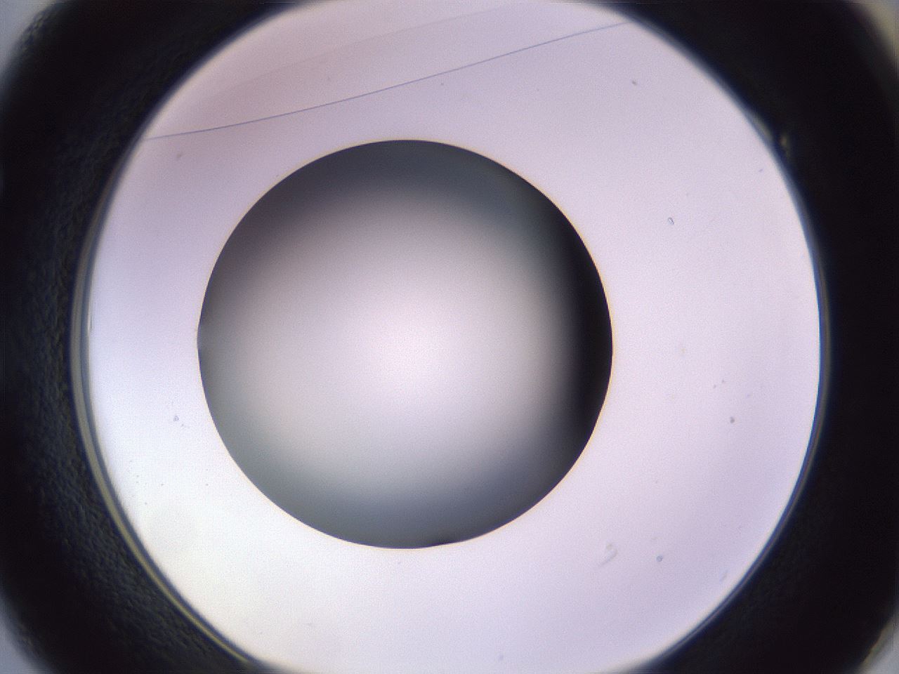 folderID353_plateID1353_batchID4708_wellNum49_profileID1_d1_r81756_ef.jpg