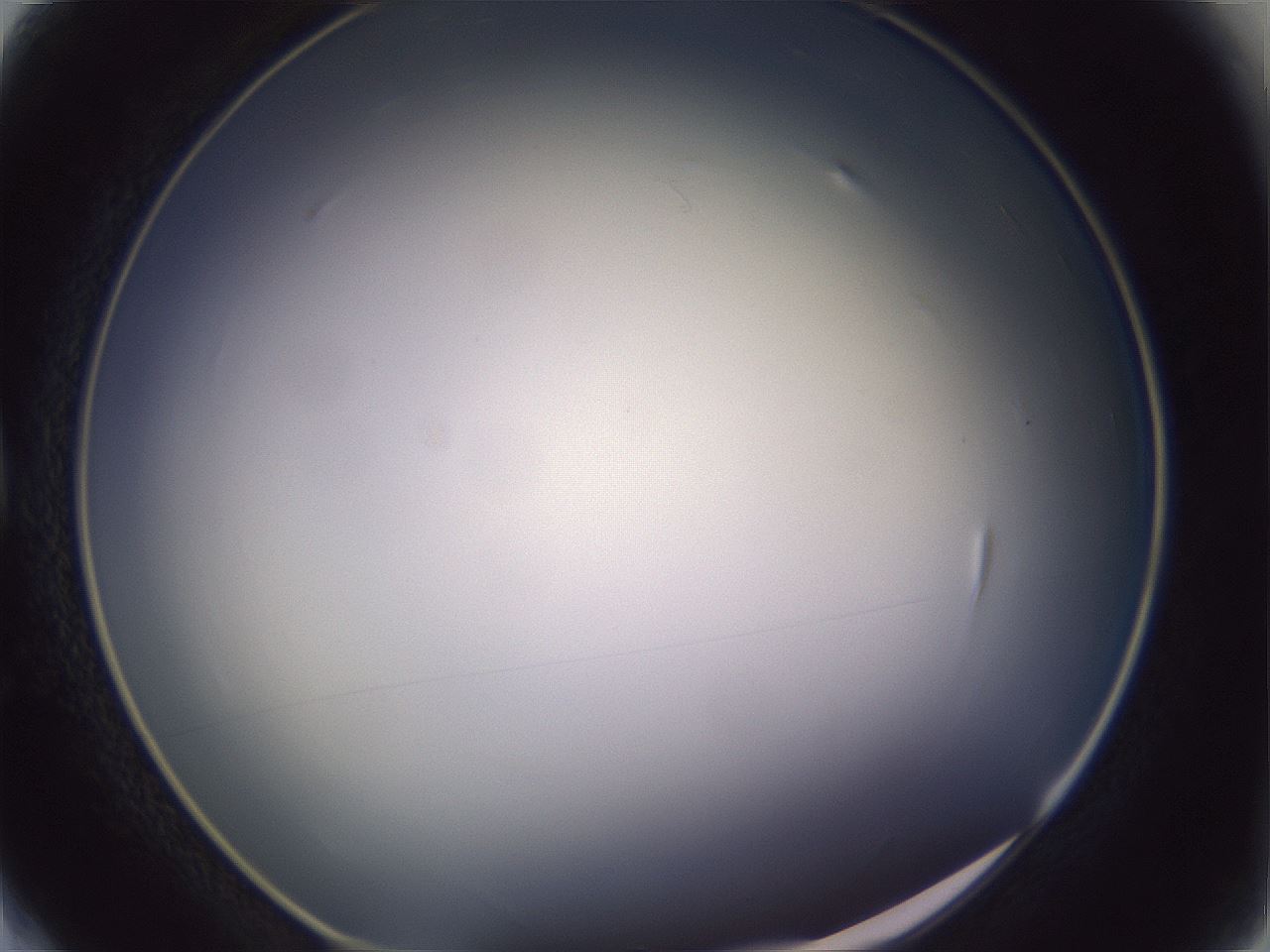 folderID353_plateID1353_batchID4708_wellNum4_profileID1_d1_r81711_ef.jpg