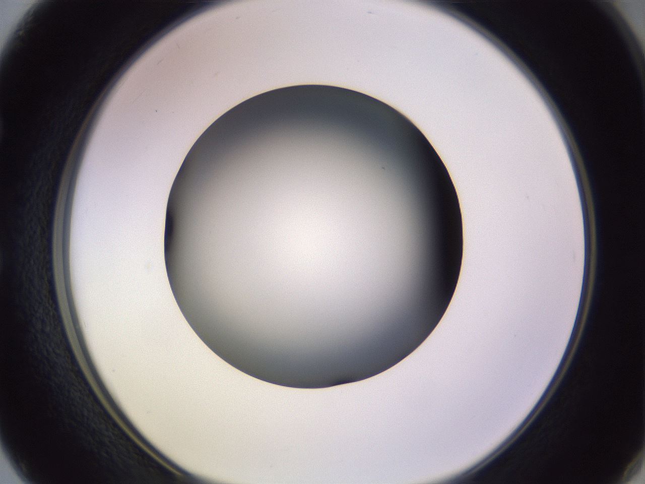 folderID353_plateID1353_batchID4708_wellNum50_profileID1_d1_r81757_ef.jpg