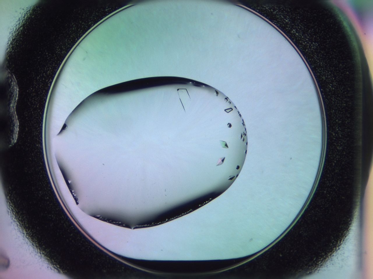 02kk_B6_ImagerDefaults_9.jpg