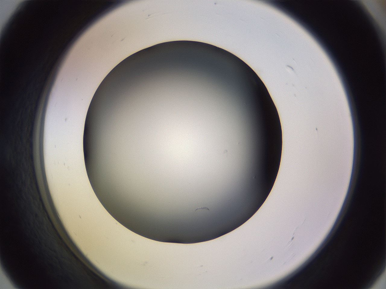 folderID353_plateID1353_batchID4708_wellNum55_profileID1_d1_r81762_ef.jpg