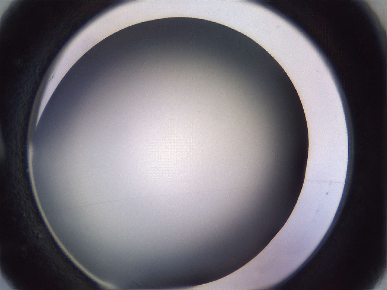 folderID353_plateID1353_batchID4708_wellNum5_profileID1_d1_r81712_ef.jpg