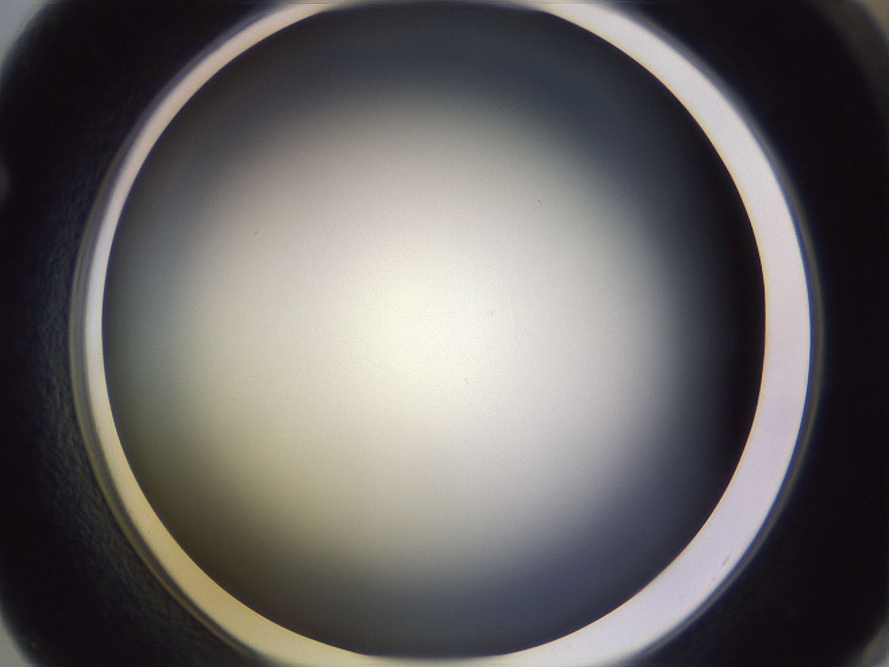 folderID353_plateID1353_batchID4708_wellNum62_profileID1_d1_r81769_ef.jpg