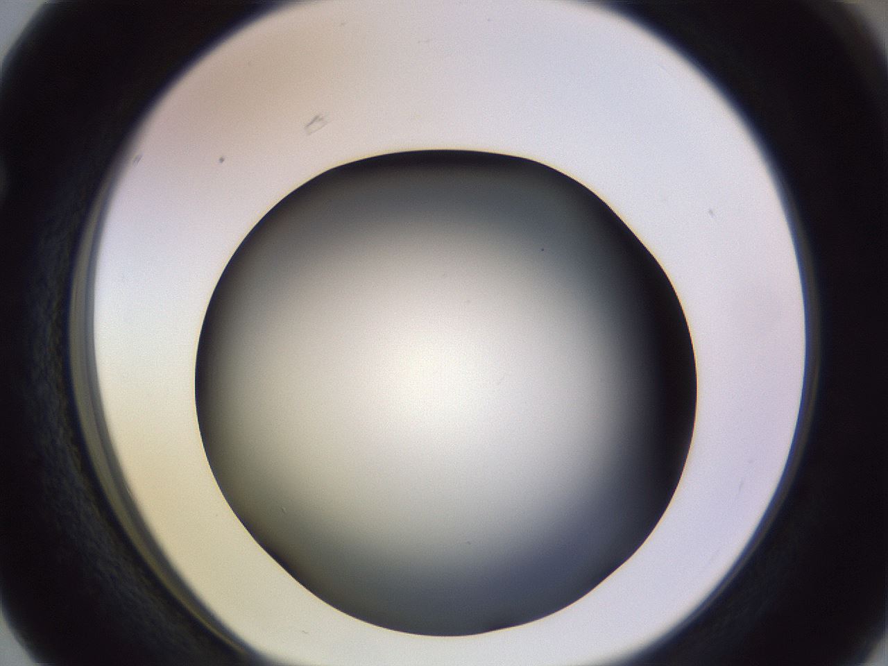 folderID353_plateID1353_batchID4708_wellNum63_profileID1_d1_r81770_ef.jpg
