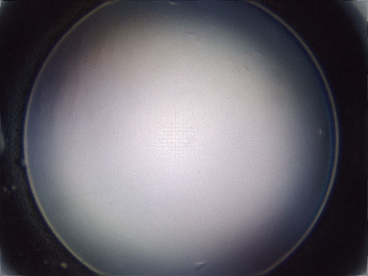 folderID353_plateID1353_batchID4708_wellNum6_profileID1_d1_r81713_ef.jpg