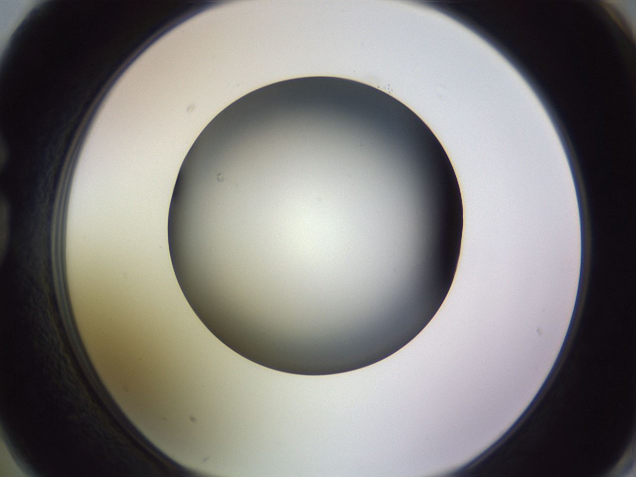 folderID353_plateID1353_batchID4708_wellNum74_profileID1_d1_r81781_ef.jpg