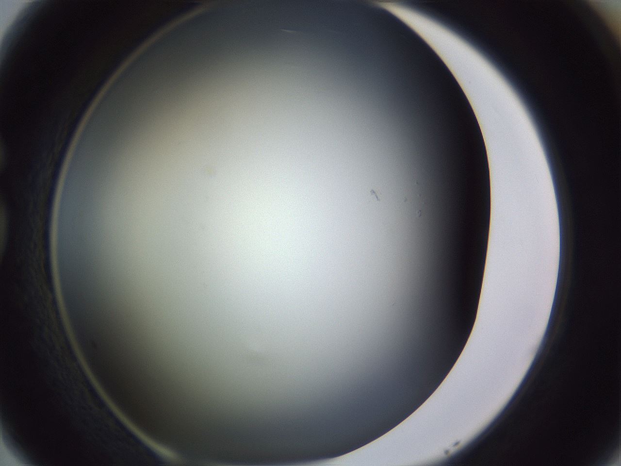 folderID353_plateID1353_batchID4708_wellNum77_profileID1_d1_r81784_ef.jpg