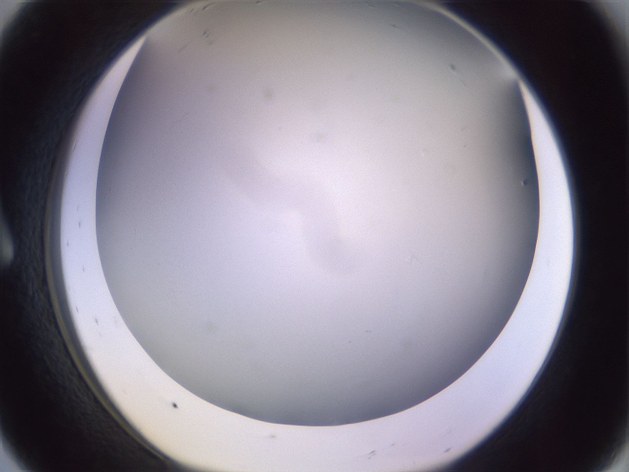 folderID353_plateID1353_batchID4708_wellNum8_profileID1_d1_r81715_ef.jpg