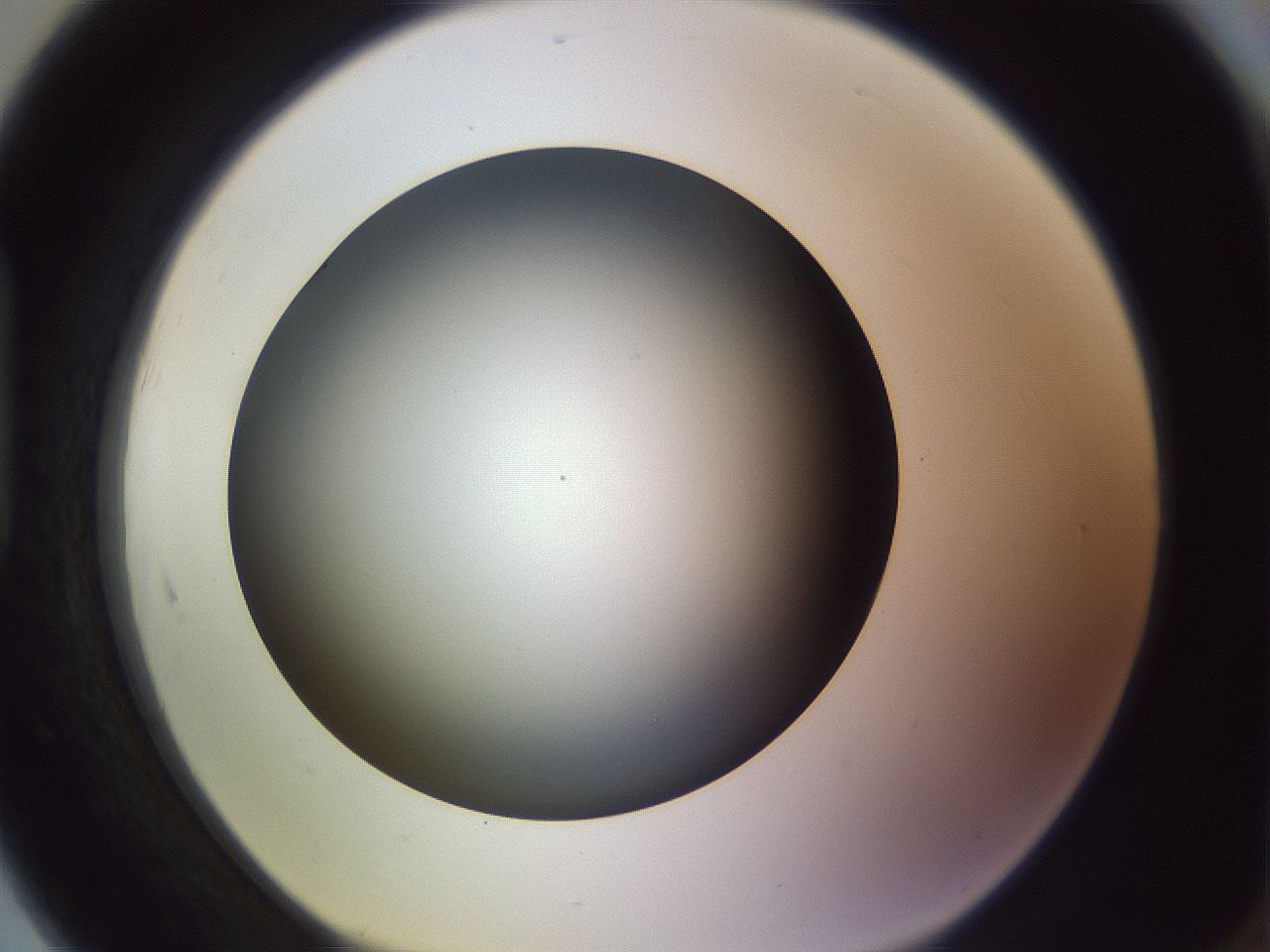 folderID353_plateID1353_batchID4708_wellNum91_profileID1_d1_r81798_ef.jpg