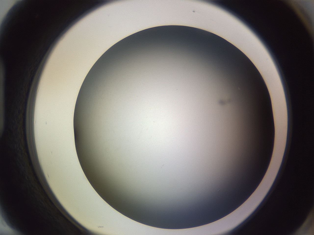 folderID353_plateID1353_batchID4708_wellNum94_profileID1_d1_r81801_ef.jpg