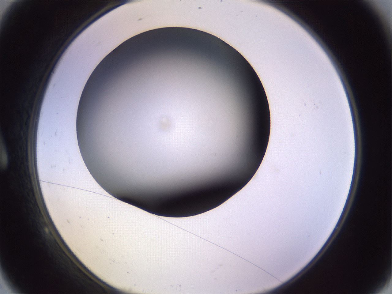 folderID353_plateID1353_batchID4708_wellNum9_profileID1_d1_r81716_ef.jpg
