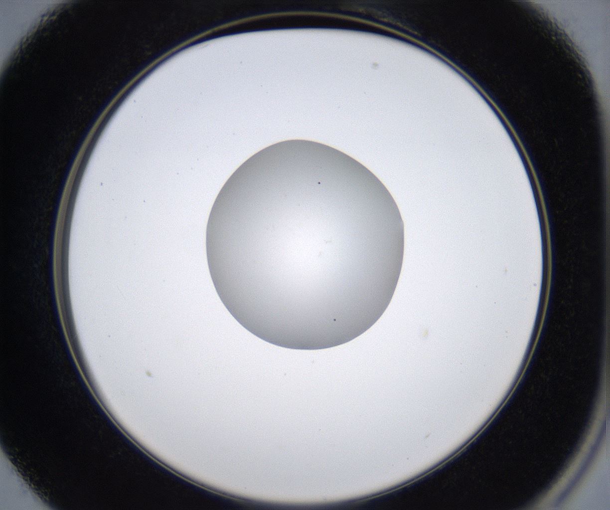 folderID353_plateID2353_batchID11075_wellNum13_profileID1_d2_r166556_ef.jpg