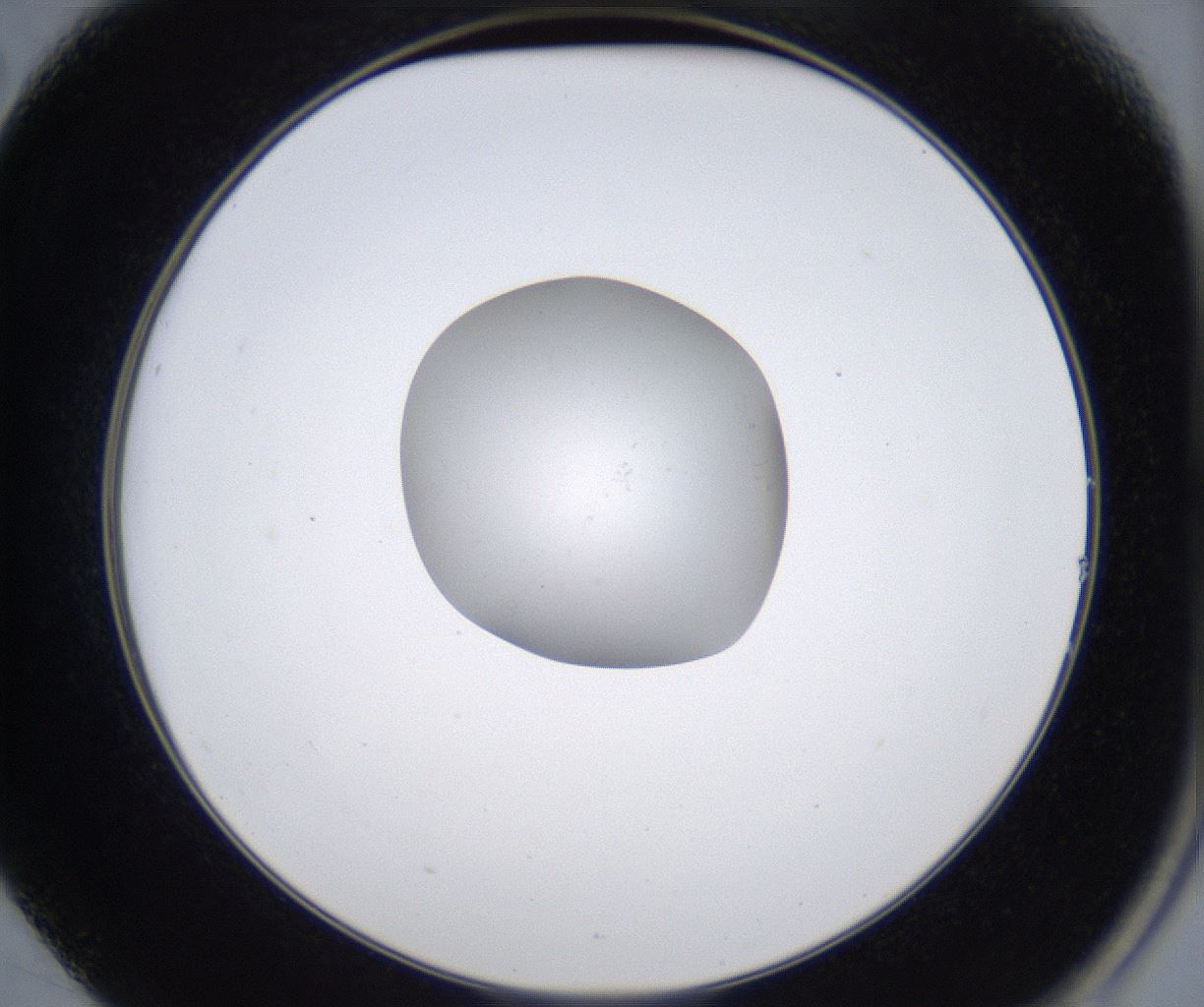 folderID353_plateID2353_batchID11075_wellNum14_profileID1_d2_r166558_ef.jpg