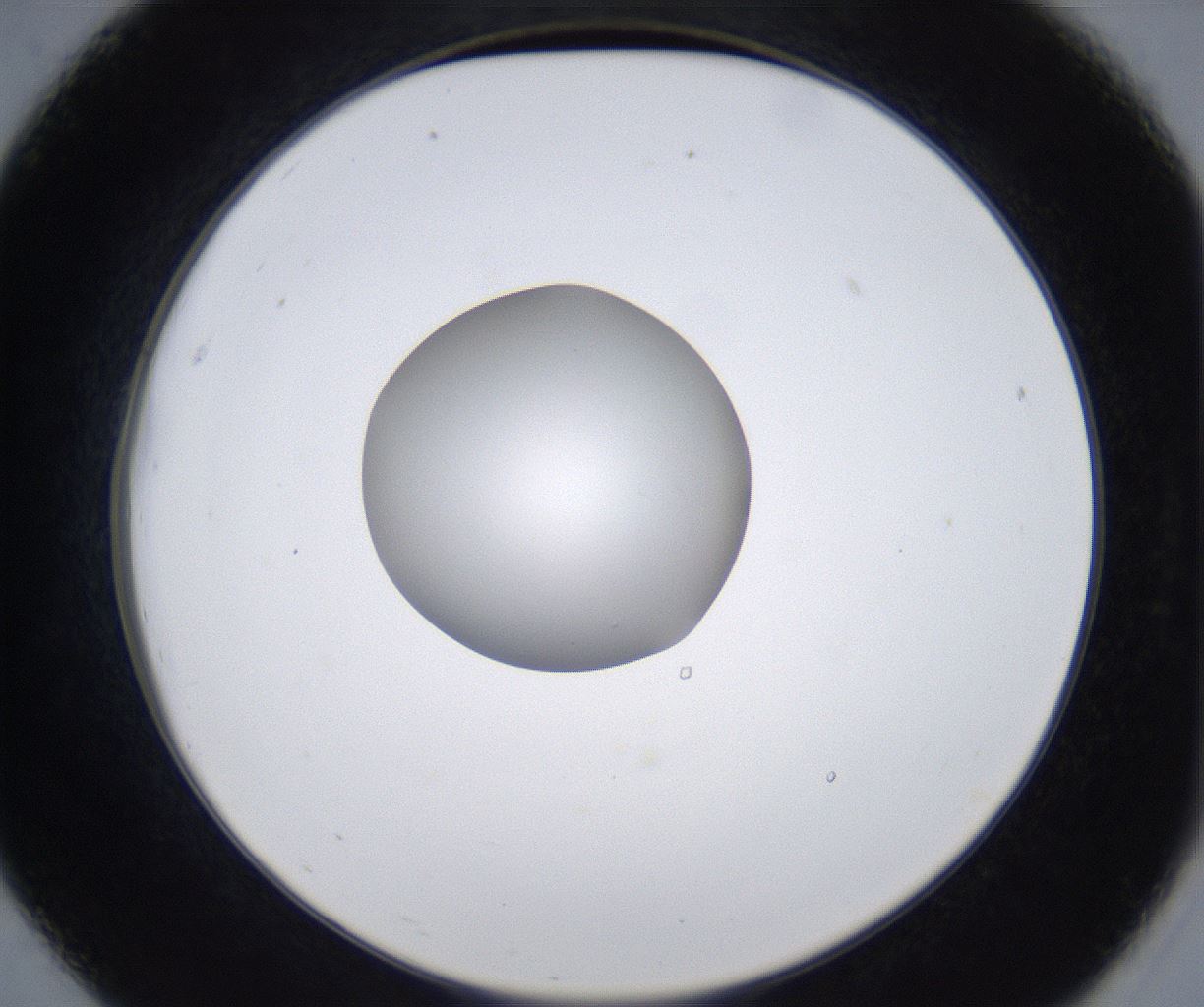folderID353_plateID2353_batchID11075_wellNum19_profileID1_d2_r166568_ef.jpg
