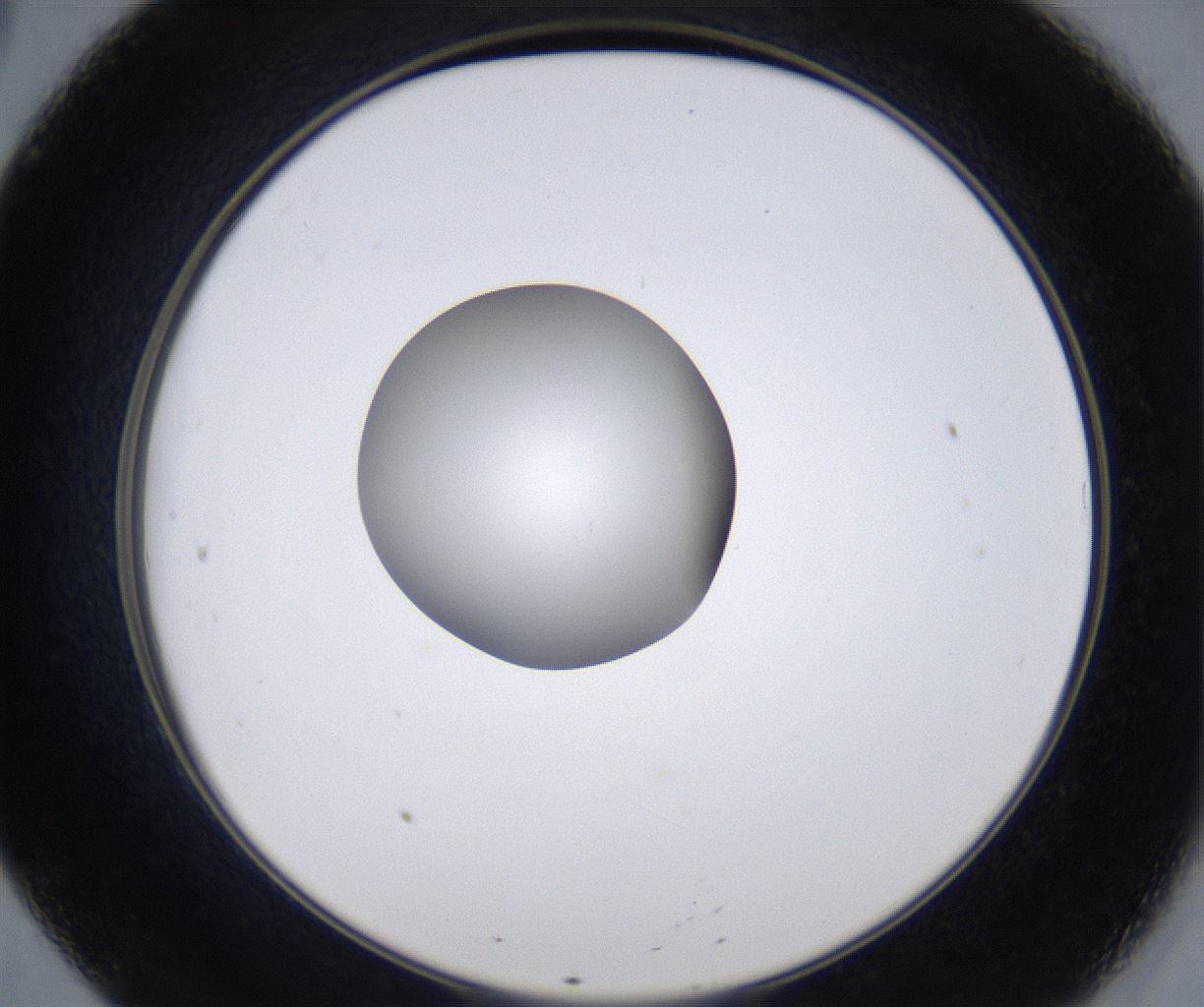 folderID353_plateID2353_batchID11075_wellNum20_profileID1_d2_r166570_ef.jpg