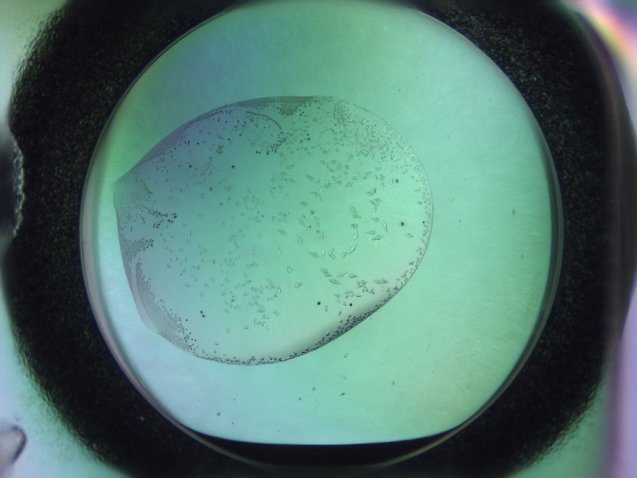 02kk_D7_ImagerDefaults_9.jpg