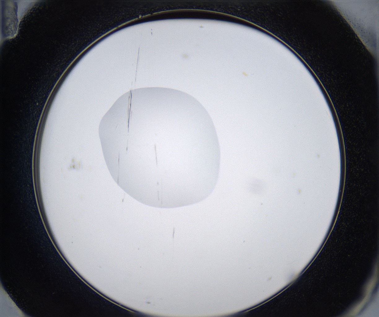 folderID353_plateID2353_batchID11075_wellNum71_profileID1_d2_r166672_ef.jpg