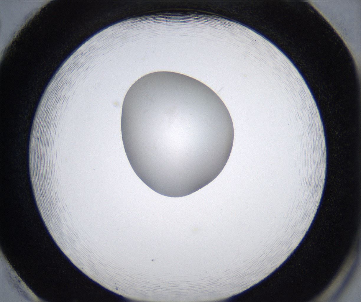 folderID353_plateID2353_batchID11075_wellNum86_profileID1_d2_r166702_ef.jpg