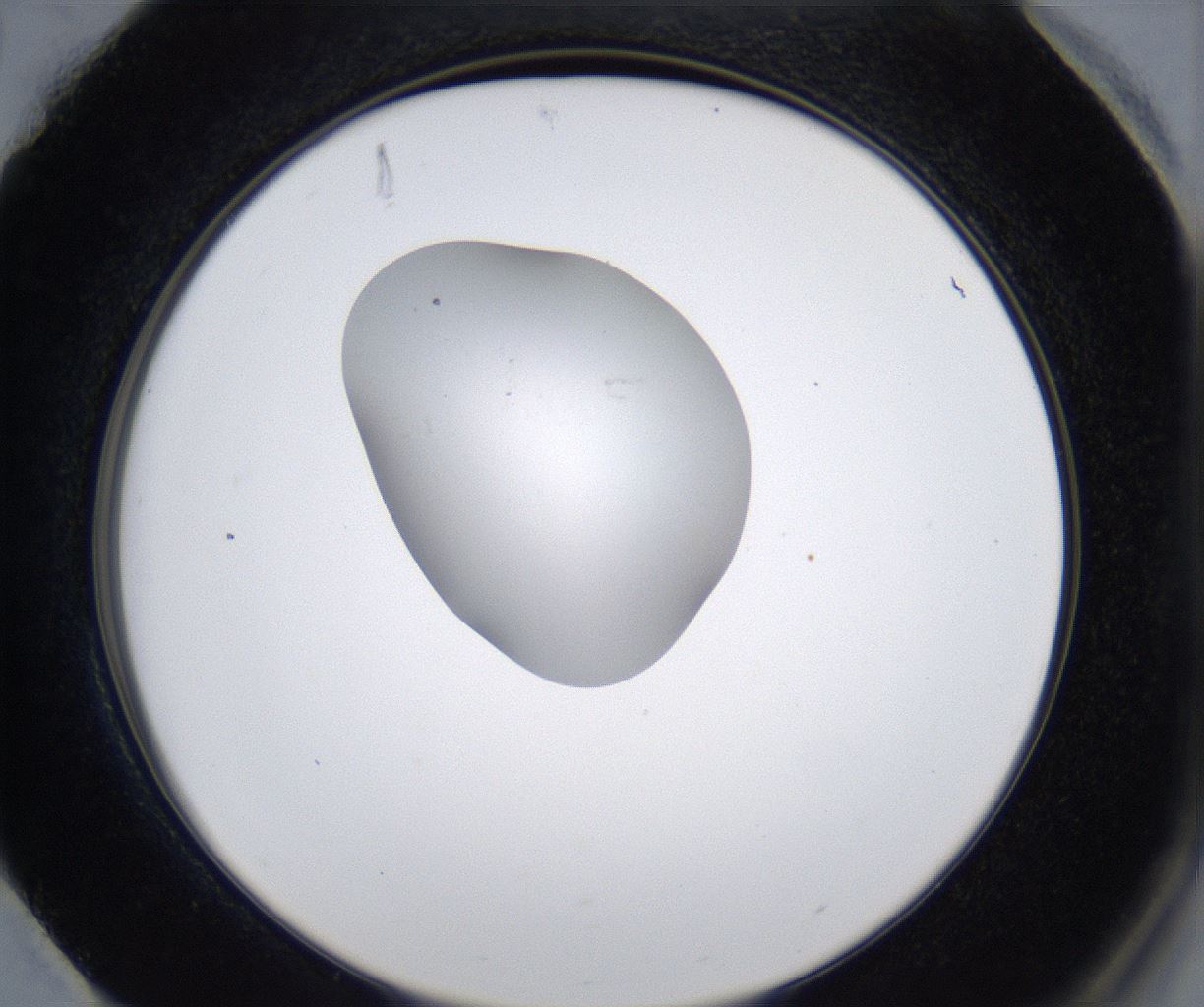 folderID353_plateID2353_batchID11075_wellNum88_profileID1_d2_r166706_ef.jpg