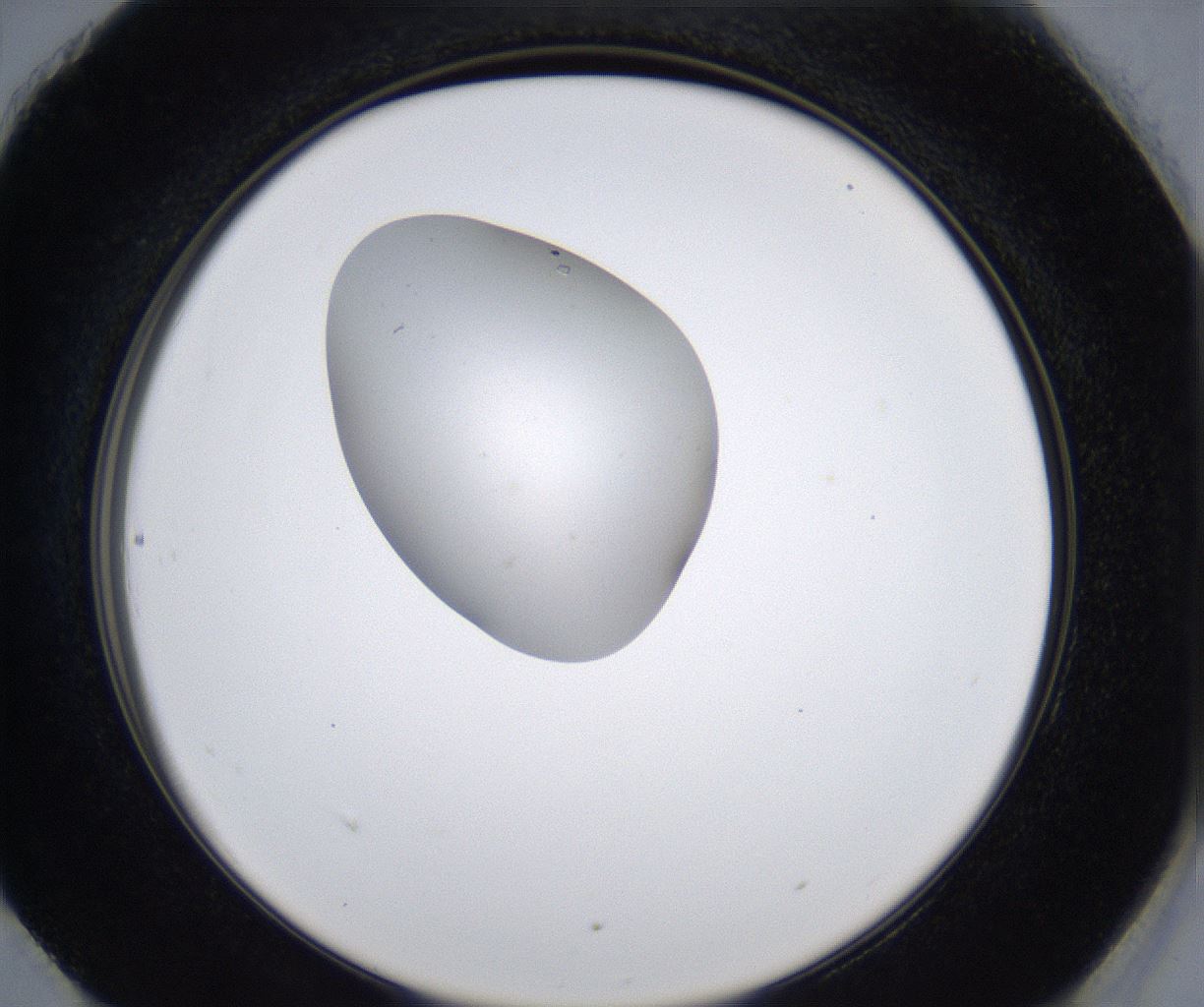 folderID353_plateID2353_batchID11075_wellNum90_profileID1_d2_r166710_ef.jpg
