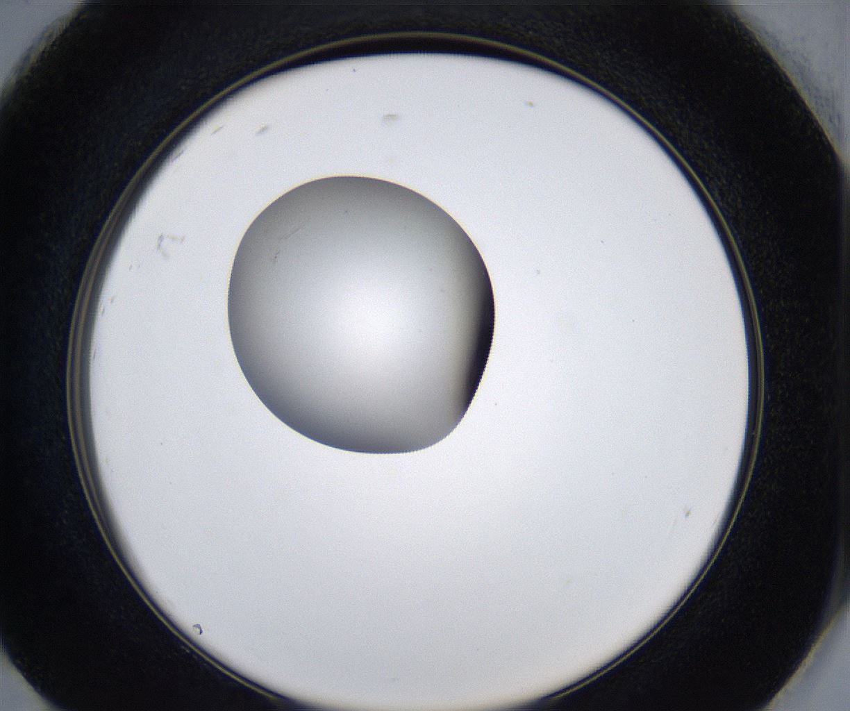 folderID353_plateID2353_batchID11075_wellNum92_profileID1_d2_r166714_ef.jpg