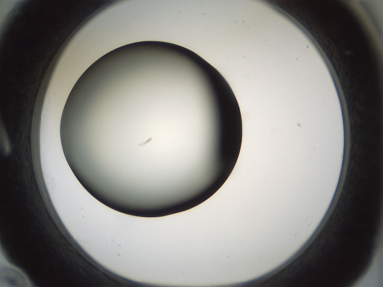 folderID354_plateID1354_batchID4707_wellNum10_profileID1_d1_r81621_ef.jpg