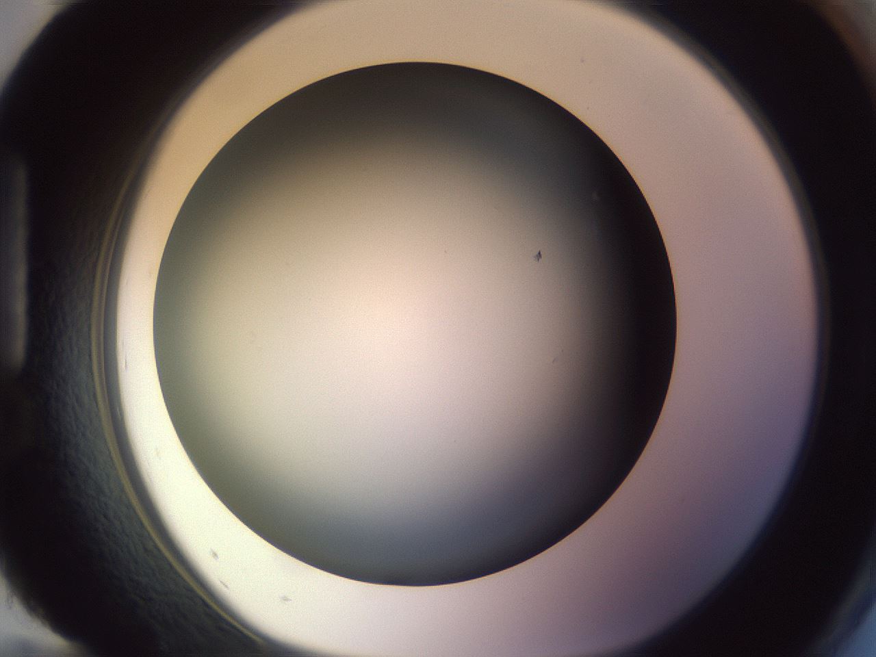 folderID353_plateID1353_batchID4708_wellNum96_profileID1_d1_r81803_ef.jpg