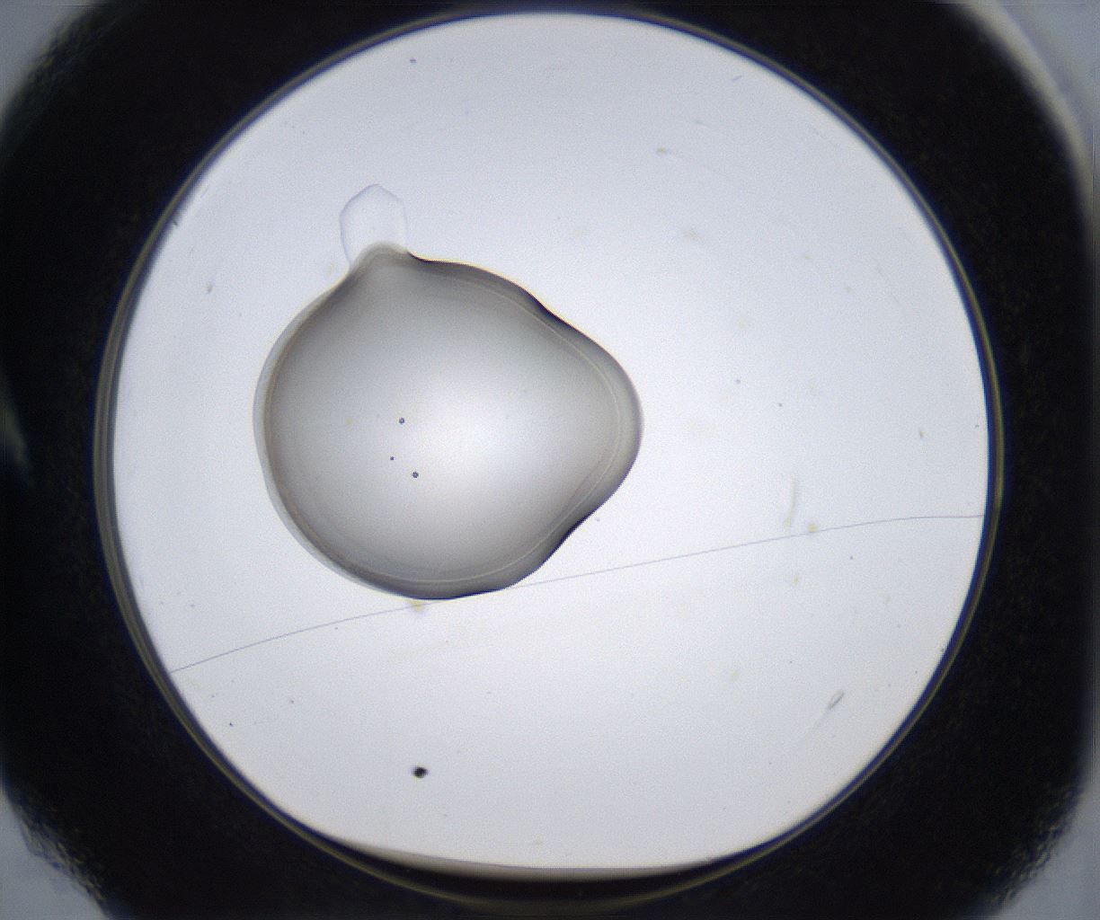 folderID353_plateID2353_batchID11075_wellNum4_profileID1_d1_r166537_ef.jpg