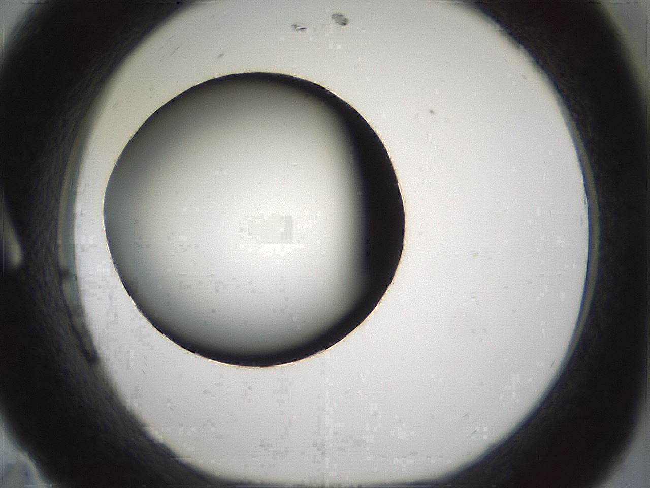 folderID354_plateID1354_batchID4707_wellNum11_profileID1_d1_r81622_ef.jpg