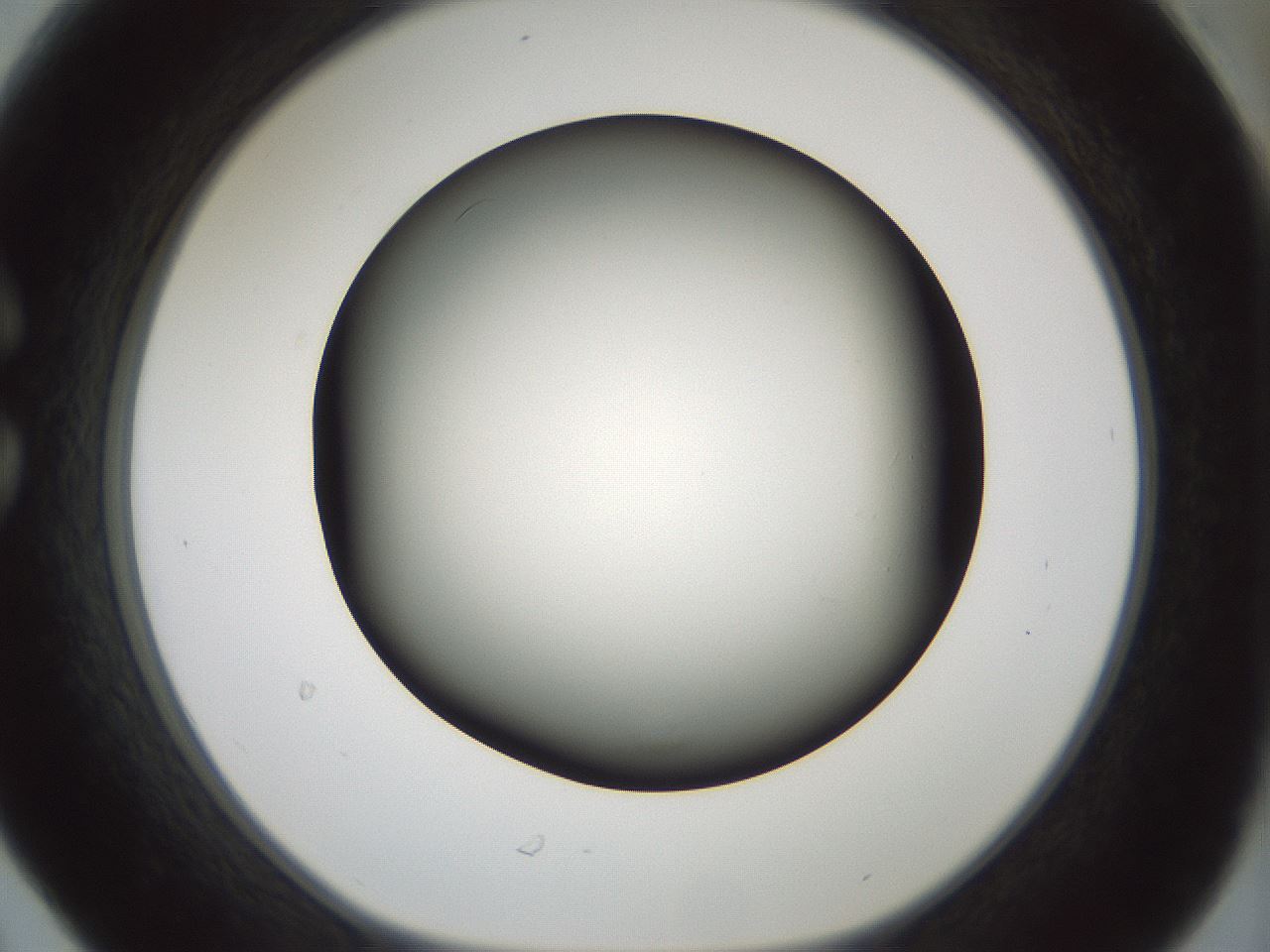 folderID354_plateID1354_batchID4707_wellNum30_profileID1_d1_r81641_ef.jpg