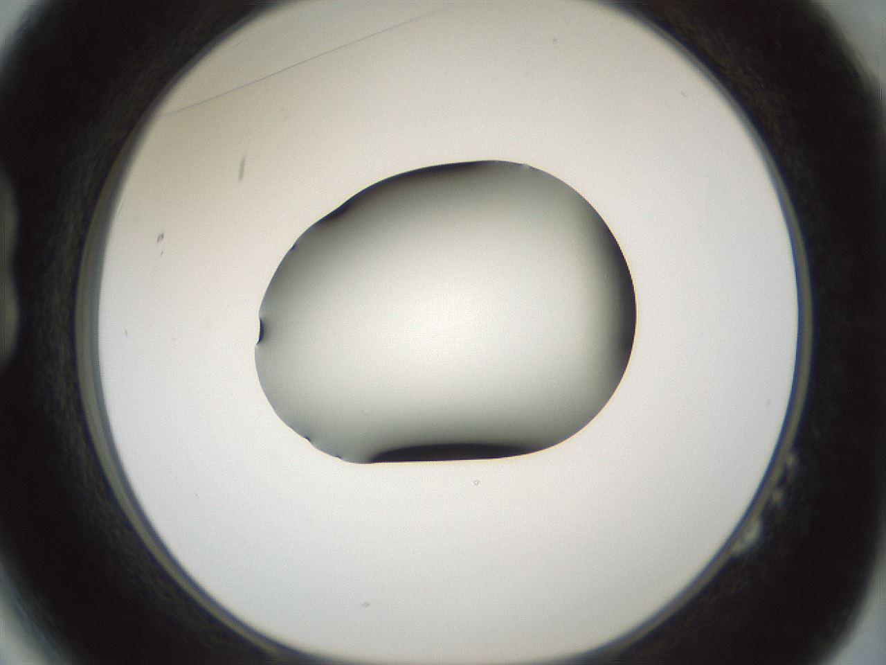 folderID354_plateID1354_batchID4707_wellNum14_profileID1_d1_r81625_ef.jpg