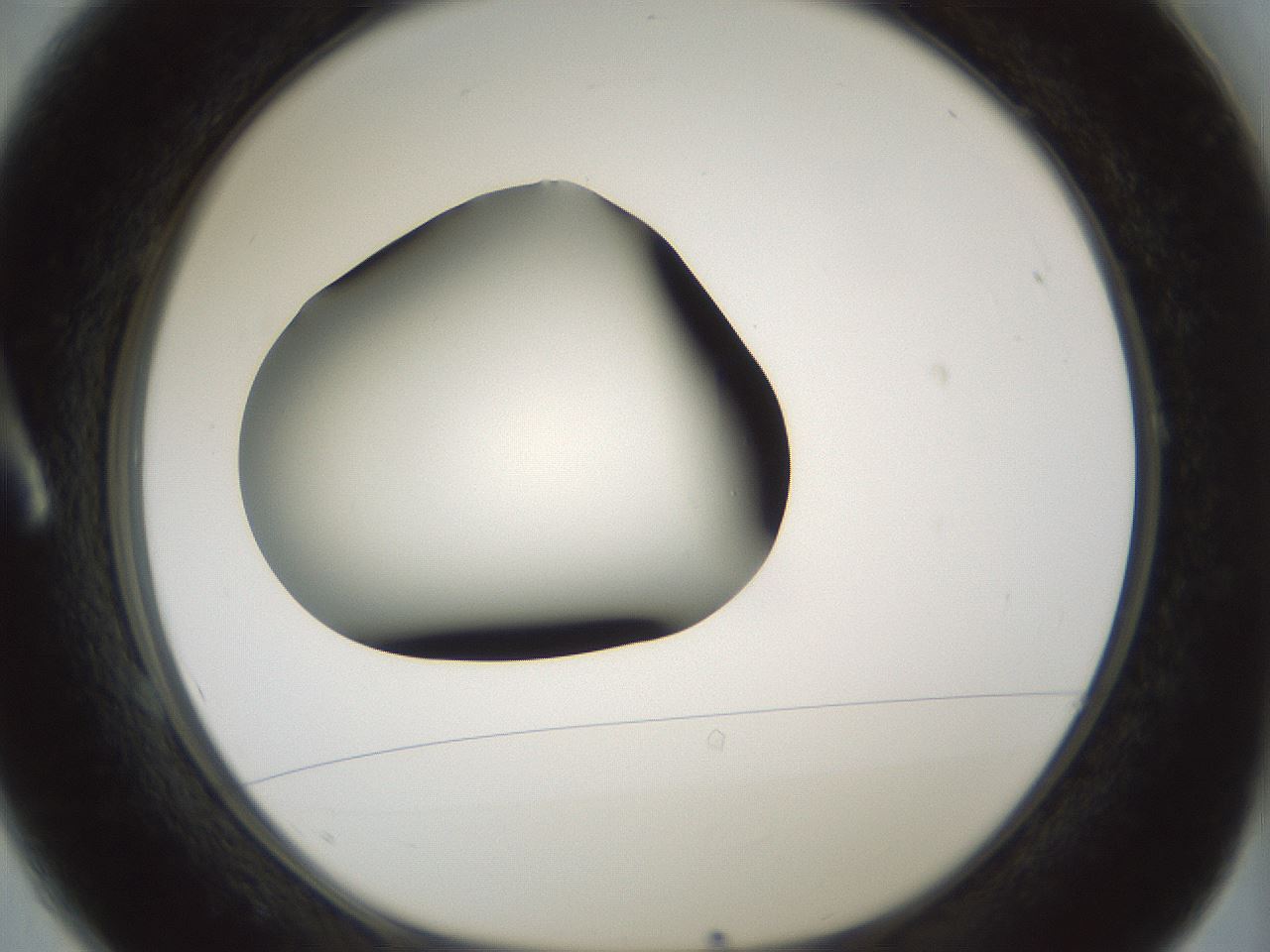 folderID354_plateID1354_batchID4707_wellNum1_profileID1_d1_r81612_ef.jpg