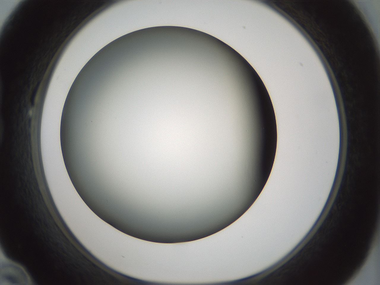 folderID354_plateID1354_batchID4707_wellNum22_profileID1_d1_r81633_ef.jpg