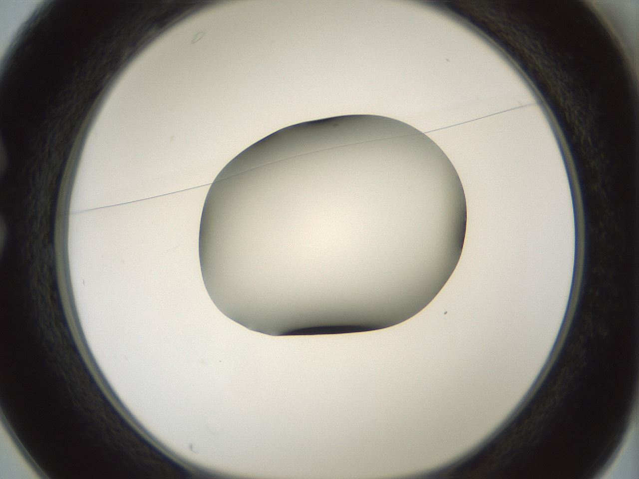 folderID354_plateID1354_batchID4707_wellNum25_profileID1_d1_r81636_ef.jpg
