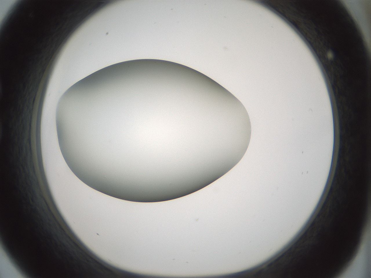 folderID354_plateID1354_batchID4707_wellNum33_profileID1_d1_r81644_ef.jpg