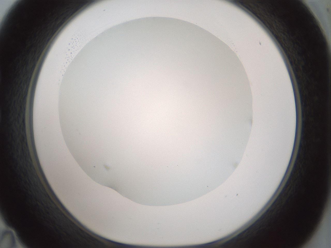 folderID354_plateID1354_batchID4707_wellNum35_profileID1_d1_r81646_ef.jpg