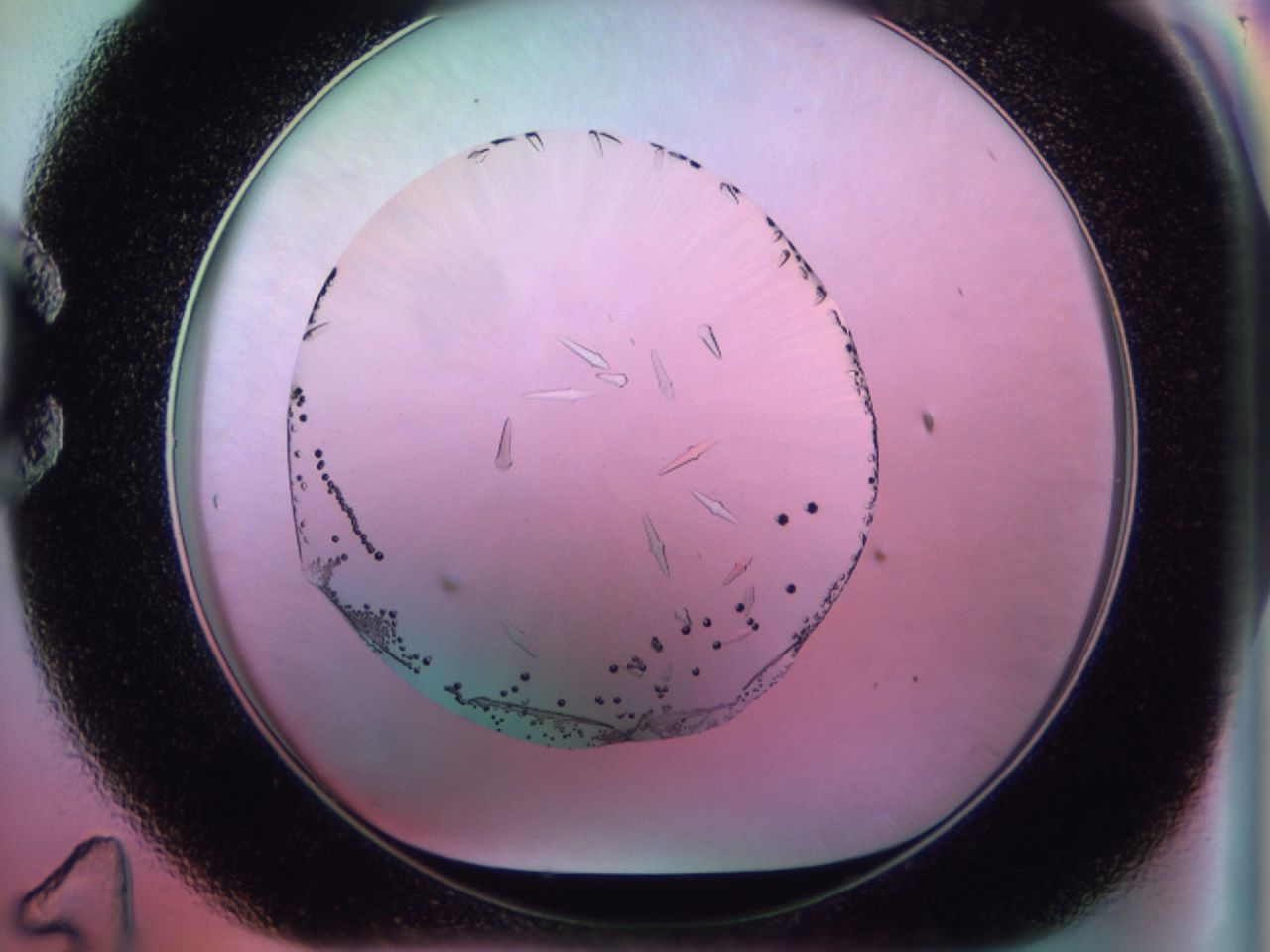 02kk_C11_ImagerDefaults_9.jpg