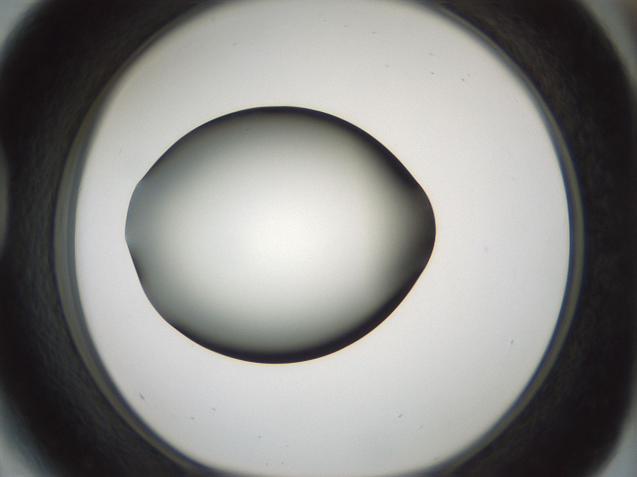 folderID354_plateID1354_batchID4707_wellNum41_profileID1_d1_r81652_ef.jpg