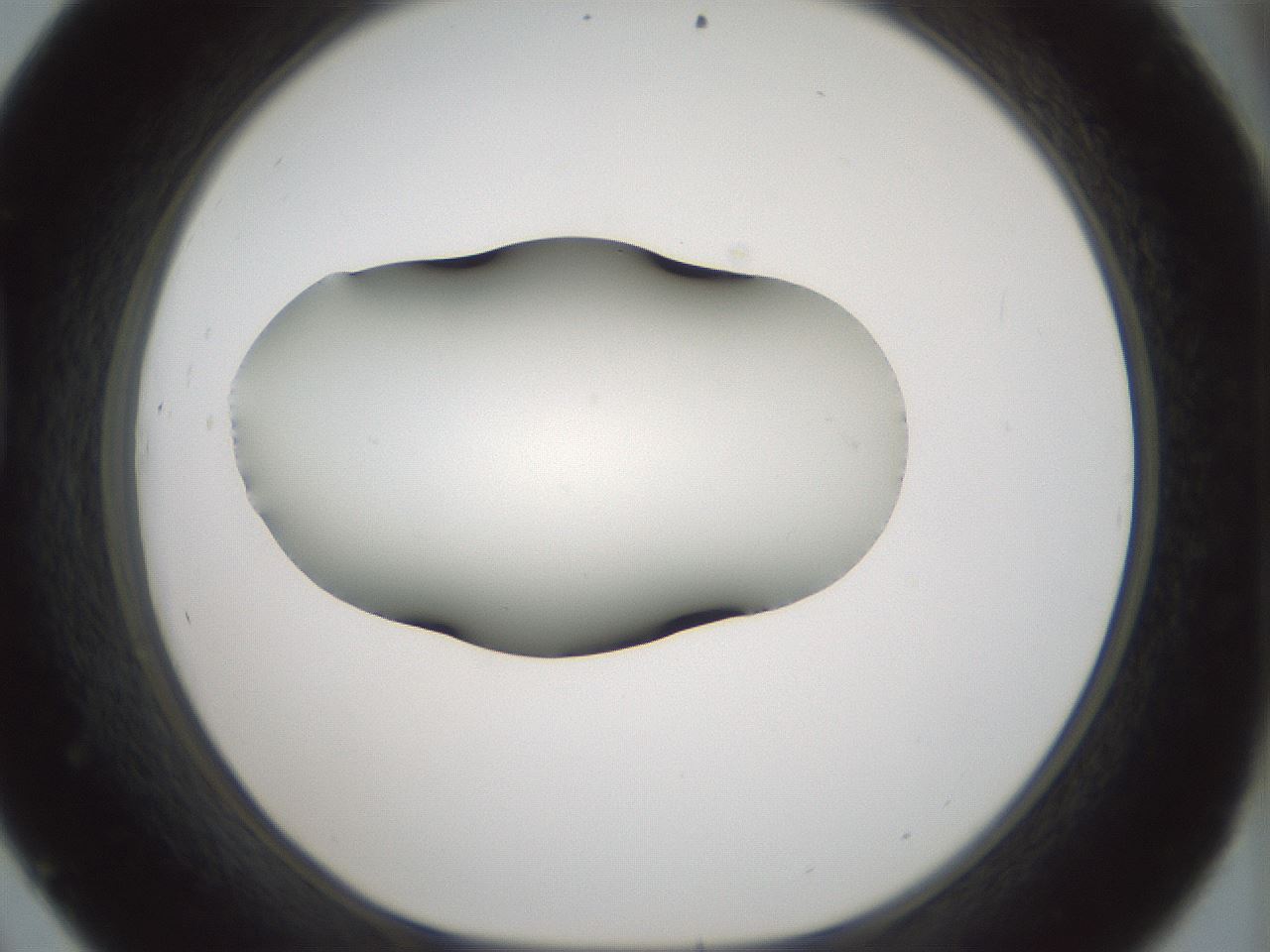 folderID354_plateID1354_batchID4707_wellNum45_profileID1_d1_r81656_ef.jpg