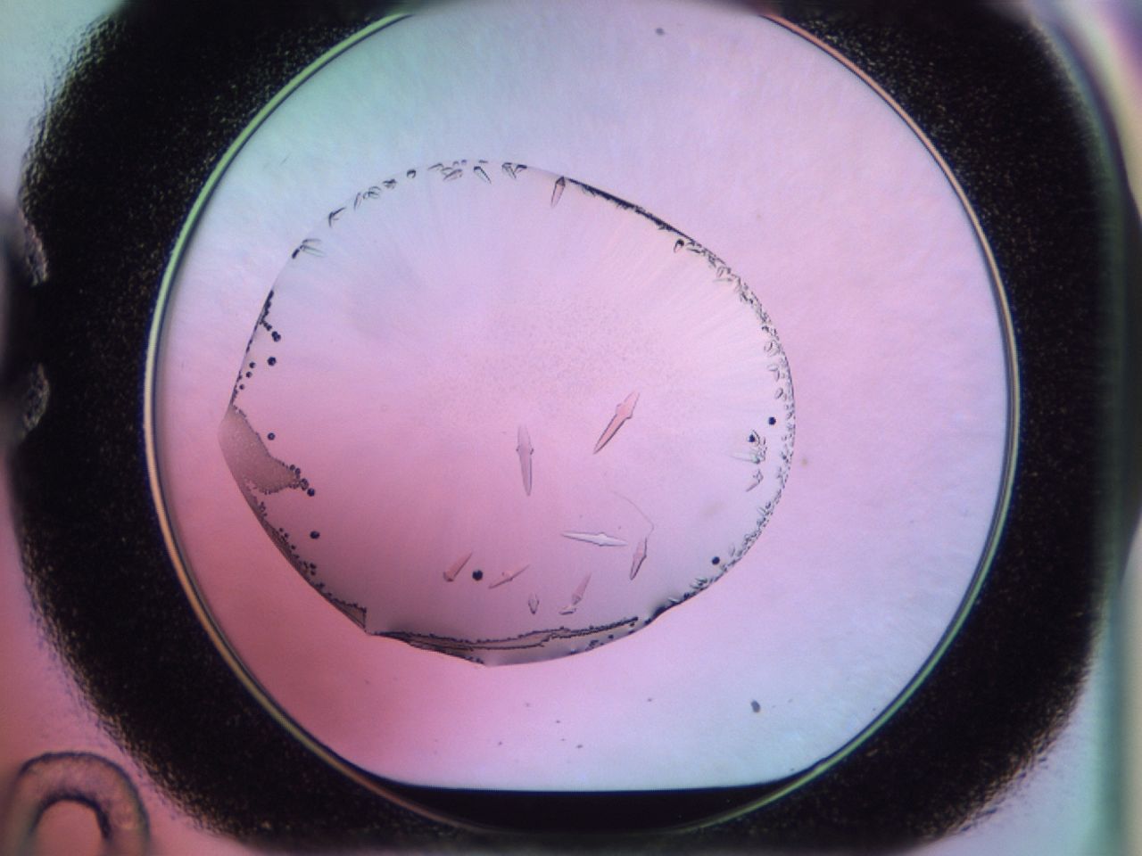 02kk_C10_ImagerDefaults_9.jpg