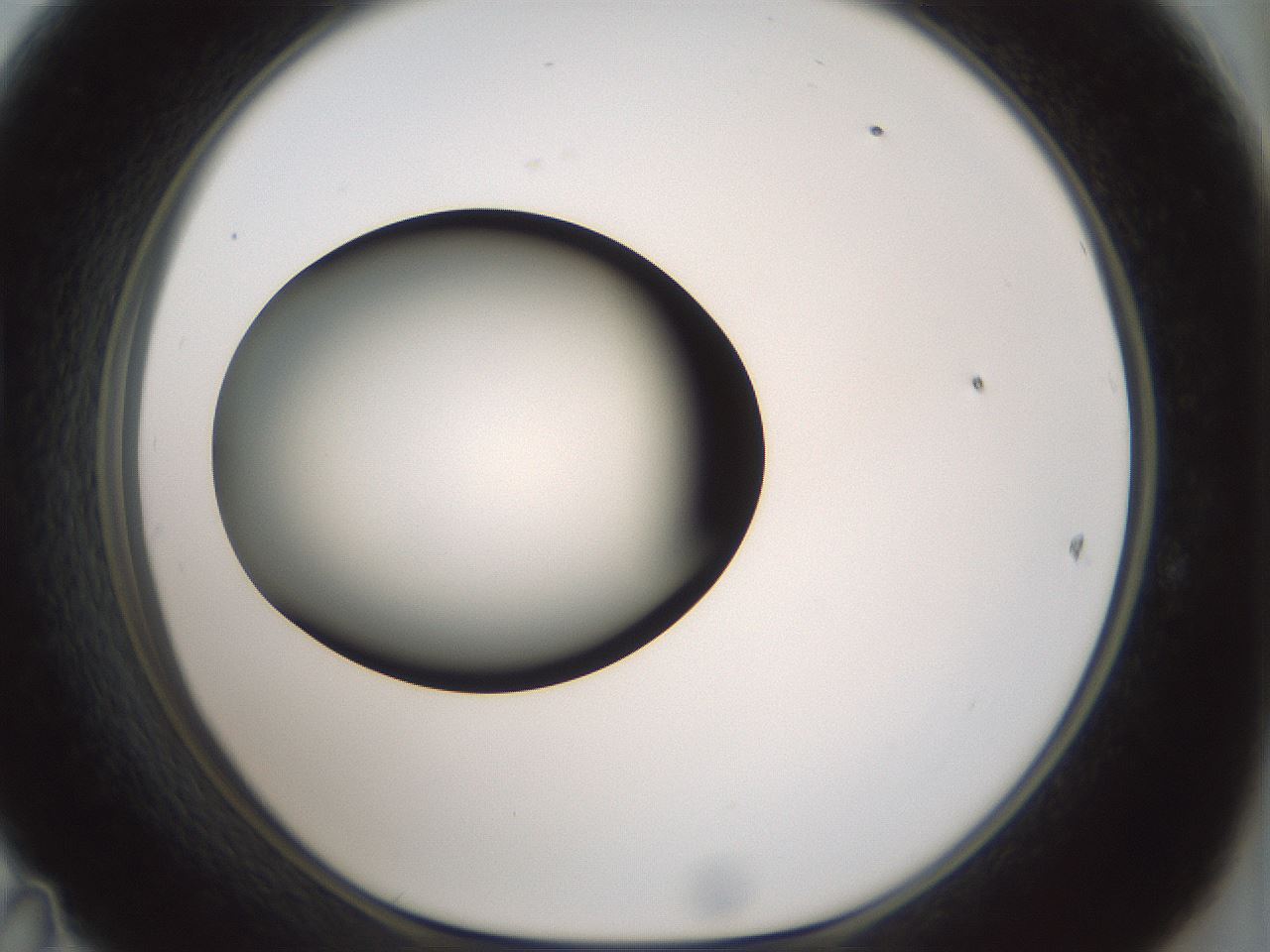 folderID354_plateID1354_batchID4707_wellNum47_profileID1_d1_r81658_ef.jpg