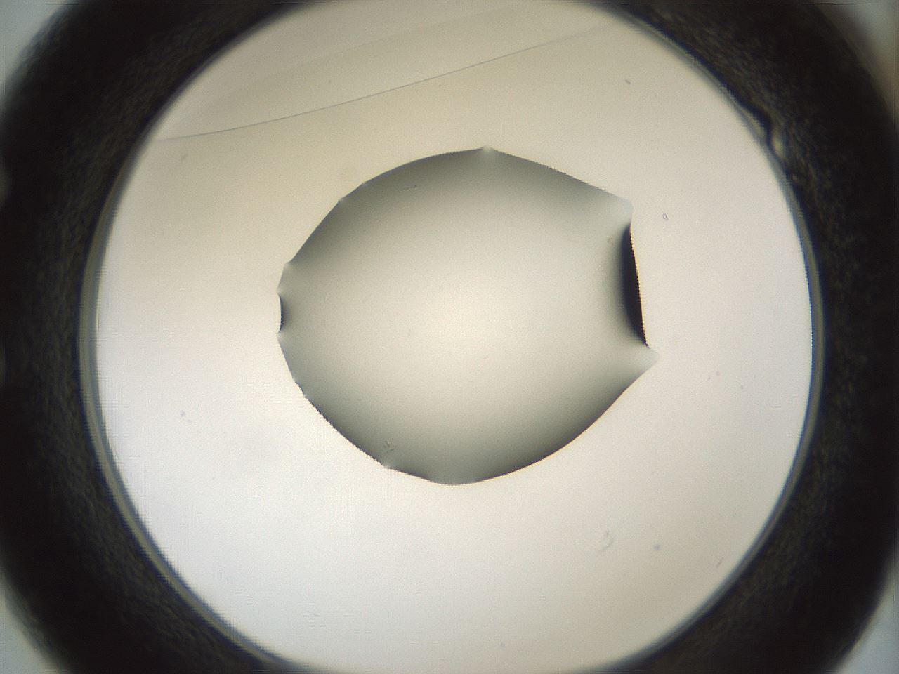 folderID354_plateID1354_batchID4707_wellNum49_profileID1_d1_r81660_ef.jpg